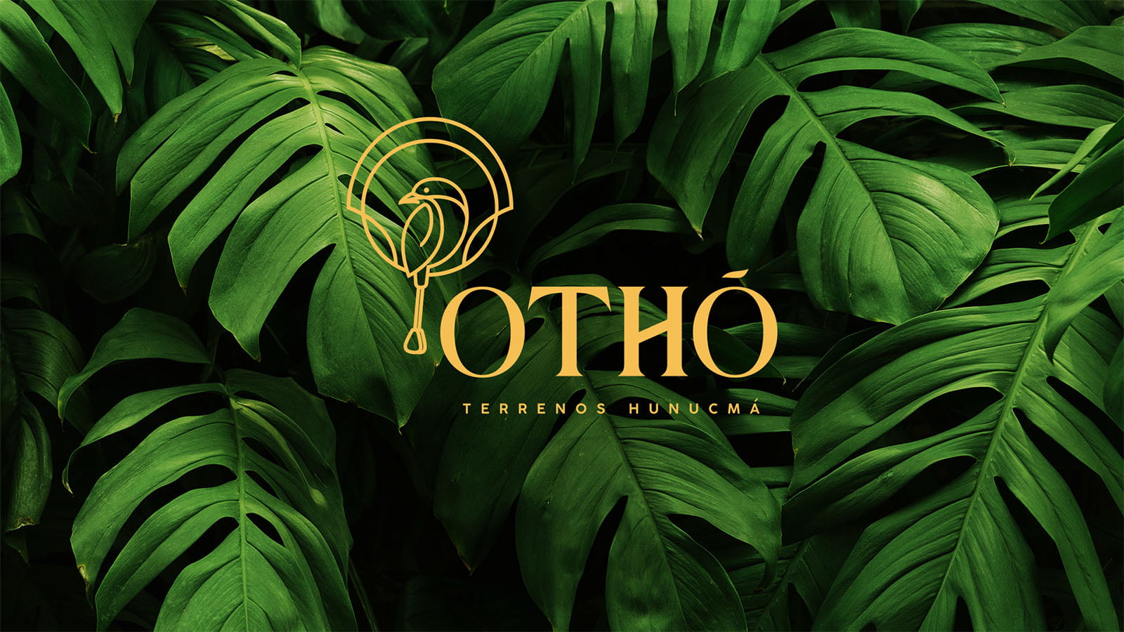 otho_yucatan_presentacion-12