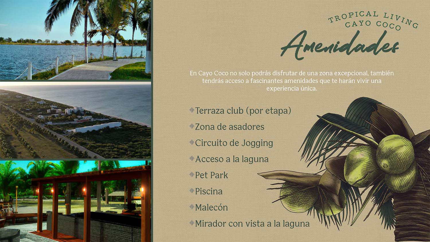 Brochure_Cayo_Coco_0004_Brochure de ventas_pages-to-jpg-0005