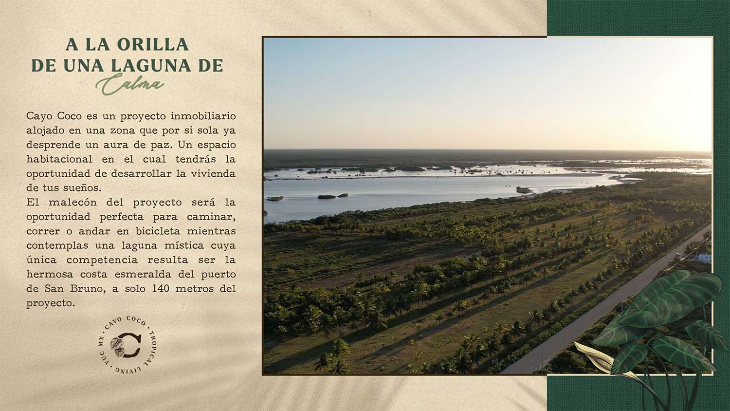 Brochure_Cayo_Coco_0006_Brochure de ventas_pages-to-jpg-0003