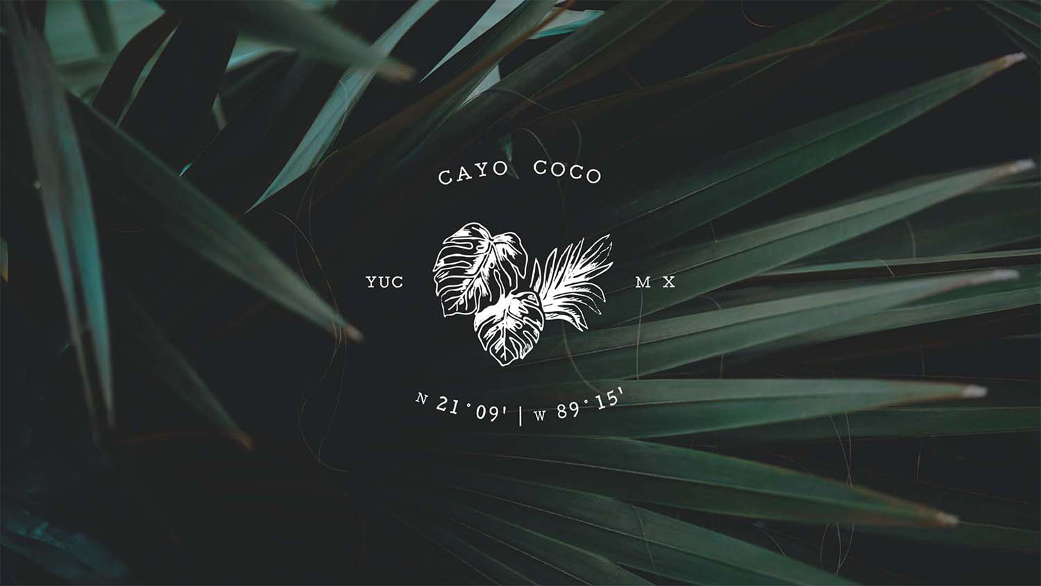 Brochure_Cayo_Coco_0007_Brochure de ventas_pages-to-jpg-0002